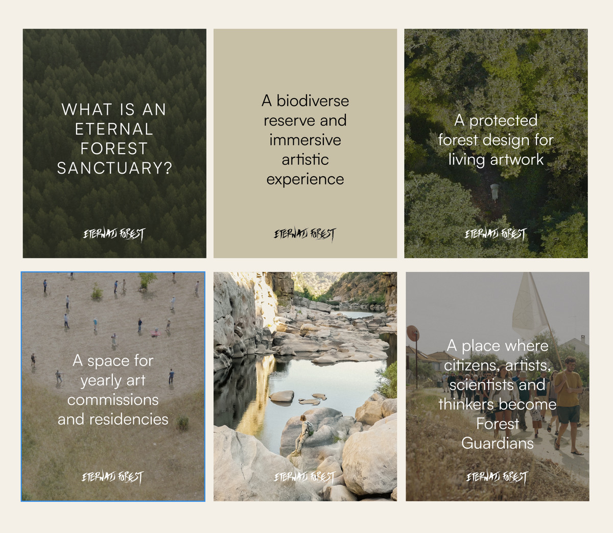 Grid of Eternal Forest social posts combining forest photography with typography